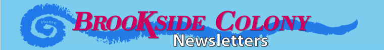 Newsletters